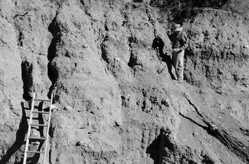 Carbon Isotope Extraction from Soils